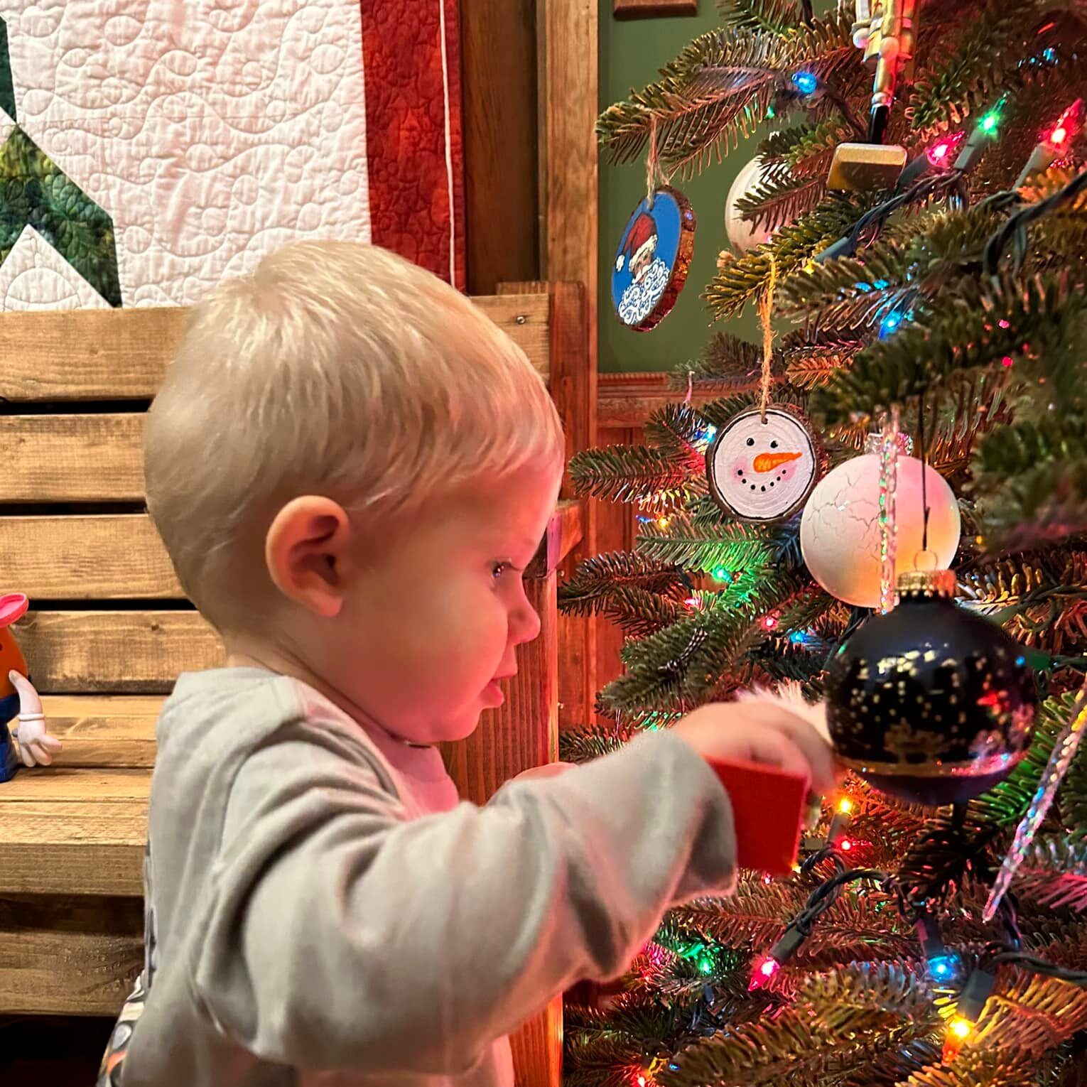 BlueRidge_TrulyMagicalMemories